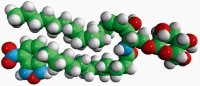 C12-NBD Glucosyl Ceramide 810223C-250UG