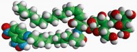 C12-NBD Lactosyl Ceramide 810227P-50UG