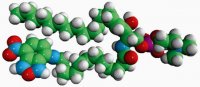 C12-NBD Sphingomyelin 810219P-1MG