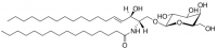 C16 Galactosyl() Ceramide (d18:1/16:0) 860521P-5MG