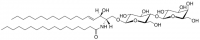 C17 Lactosyl() Ceramide (d18:1/17:0) 860595P-5MG