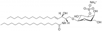 C17 Mono-Sulfo Galactosyl() Ceramide (d18:1/17:0) 860572P-1MG