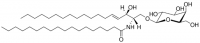 C18 Galactosyl() Ceramide (d18:1/18:0) 860844P-5MG