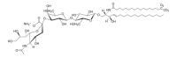 C18:0 GM3-d5 (synthetic) 860073W-100UG