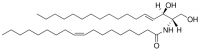 C18:1 Ceramide (d17:1/18:1(9Z)) 