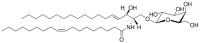 C18:1 Galactosyl() Ceramide (d18:1/18:1(9Z)) 860596P-5MG