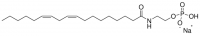 C18:2 anandamide phosphate 870439C-1MG