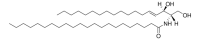C22 Ceramide (d18:1/22:0) 