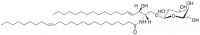 C24:1 Galactosyl() Ceramide (d18:1/24:1(15Z)) 860546P-5MG