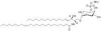 C24:1 Mono-sulfo galactosyl (alpha) ceramide (d18:1/24:1) 860871P-1MG