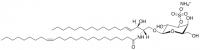 C24:1 Mono-Sulfo Galactosyl() Ceramide (d18:1/24:1) 860571P-1MG