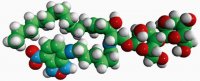 C6-NBD Lactosyl Ceramide 810226P-250UG