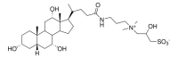 CHAPSO 850501P-1G