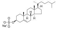 cholesterol sulfate 