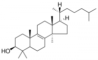 dihydrolanosterol 