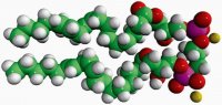 Dilyso Heart CA 850082P-10MG