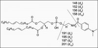 DMABA-d4 NHS Ester 640004P-1MG