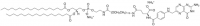DSPE-PEG(5000) Folate 880123X-500UG