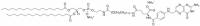 DSPE-PEG(5000) Folate 880123P-500UG