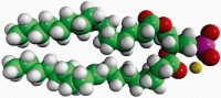 Egg PA 840101C-25MG