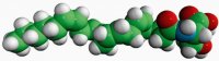 N-20:4 L-Serine (ARA-S) 800742C-5MG