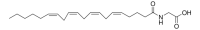 N-arachidonoylglycine 870818M-10MG