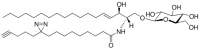 pacFA GlcCer 900405P-1MG