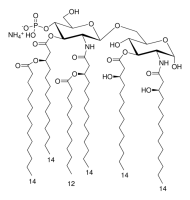 PHAD�-504 