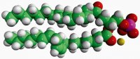 Soy PA 840074P-25MG
