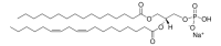 Soy PA 840074C-25MG