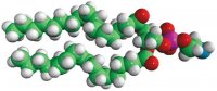 Soy PE 840024C-25MG