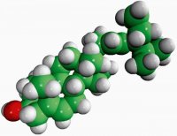 stigmasterol 700062P-5MG