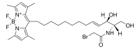 TopFluor-SOBRAC 810307P-250UG