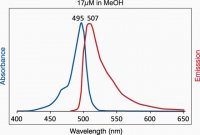 TopFluor® Cholesterol