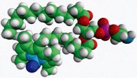 TopFluor� PE 