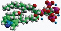 TopFluor� PI(3,4,5)P3 810189P-50UG