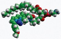TopFluor� TMR PE 810241C-1MG
