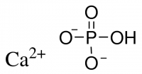 Dibasic Calcium Phosphate 