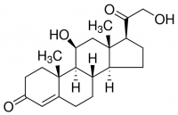 Corticosterone 