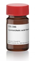 Lipoteichoic acid from Bacillus subtilis 