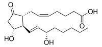 Prostaglandin E2 