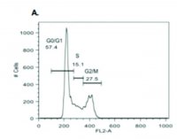 Cell Cycle Analysis Kit MAK344-1KT