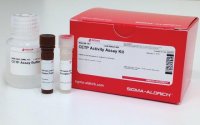 CETP Activity Assay Kit MAK106-1KT