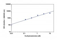 Fluorometric Maleimide Assay Kit MAK167-1KT