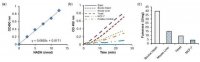 Fumarase Activity Colorimetric Assay Kit MAK206-1KT