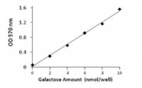 Galactose Assay Kit MAK012-1KT