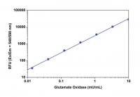 Glutamate Oxidase Assay Kit MAK170-1KT