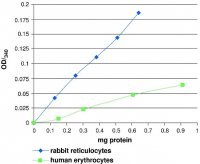 Glutathione Peroxidase Cellular Activity Assay Kit 