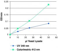 Glutathione Reductase Assay Kit 