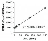 Granzyme B Activity Assay Kit MAK176-1KT